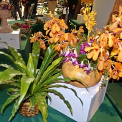 Living Aloha Hawaii Festival