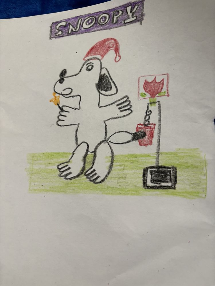 The Salvation Army - social services organization in Dallas, TX