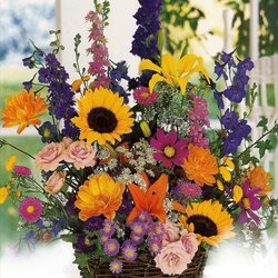 Flowering Designs