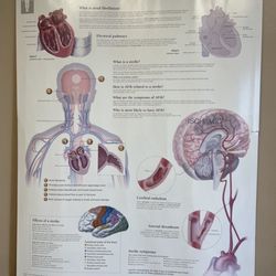 Capital Cardiology Associates