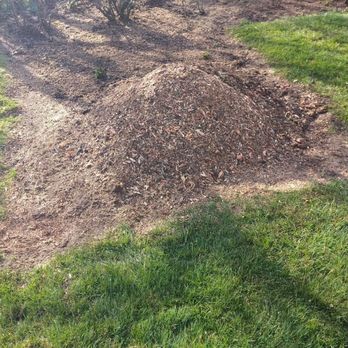 All Around Arbor Tree Care - After the removal of the old plum tree and stump grinding. Professionally completed! - Tree Services Near Me - Portland, Oregon All Around Arbor Tree Care - After the removal of the old plum tree and stump grinding. Professionally completed! - Tree Services Near Me - Portland, Oregon