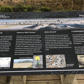 Samoa Dunes Recreation Area - Beaches Near Me - Arcata, California