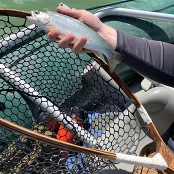 St. Mary Lodge & Resort - Fly fishing! - Hotels Near Me - Glacier, Montana St. Mary Lodge & Resort - Fly fishing! - Hotels Near Me - Glacier, Montana