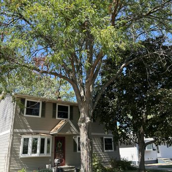 1. Rice's Tree Service & Landscaping