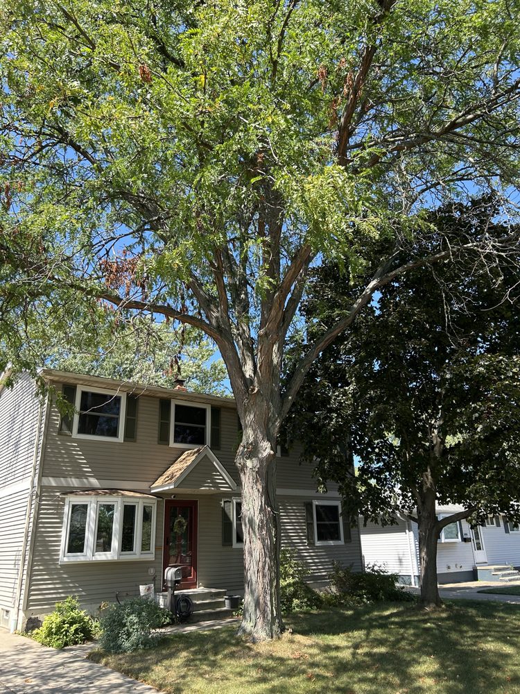 Rice's Tree Service & Landscaping - tree service in North Royalton, OH