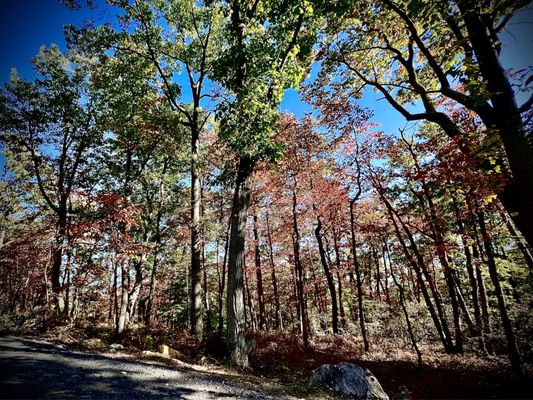 Sugarloaf Mountain by null