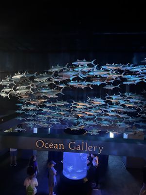 North Carolina Aquarium at Fort Fisher by null