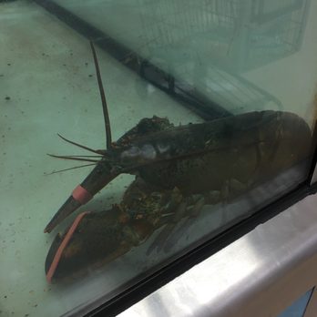 Ralphs - Larry the Lobsta - Grocery Near Me - Woodland Hills, California Ralphs - Larry the Lobsta - Grocery Near Me - Woodland Hills, California