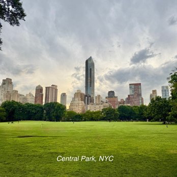 Central Park Conservancy - Sheep meadows - Parks Near Me - New York, New York Central Park Conservancy - Sheep meadows - Parks Near Me - New York, New York