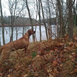 MerryMeeting Trail - Something is about to get rushed