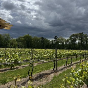 Loughlin Vineyard - Wineries Near Me - Sayville, New York Loughlin Vineyard - Wineries Near Me - Sayville, New York