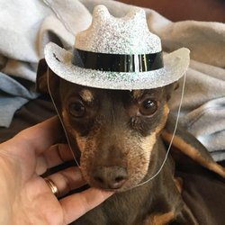 Max's Helping Paws