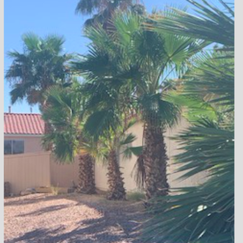 Proficient Landscape - Before - Irrigation Near Me