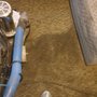 Photo of Superior Steam Carpet Cleaning