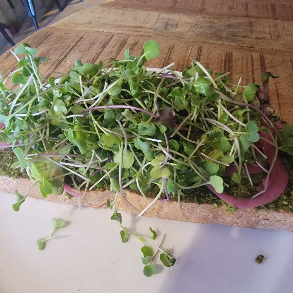 Communal Cafe - Avocado on toast - Cafes Near Me - Nevada City, California