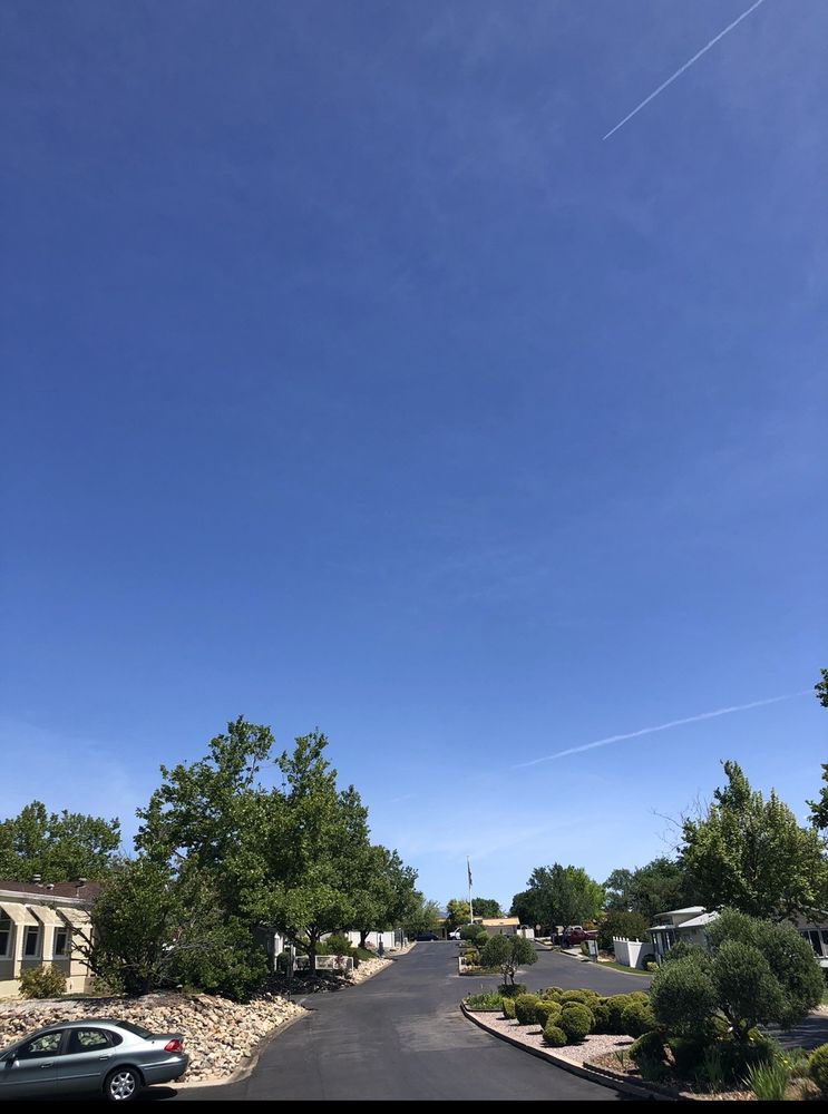 LOS ROBLES ESTATES Updated October 2024 14 Photos 875 Butternut