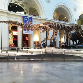 Field Museum - Museums Near Me - Chicago, Illinois Field Museum - Museums Near Me - Chicago, Illinois