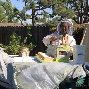 Bee Rooted - Pest Control Near Me