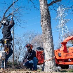 CBM Tree Services