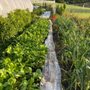 Photo of Tommy Peppers Market Garden
