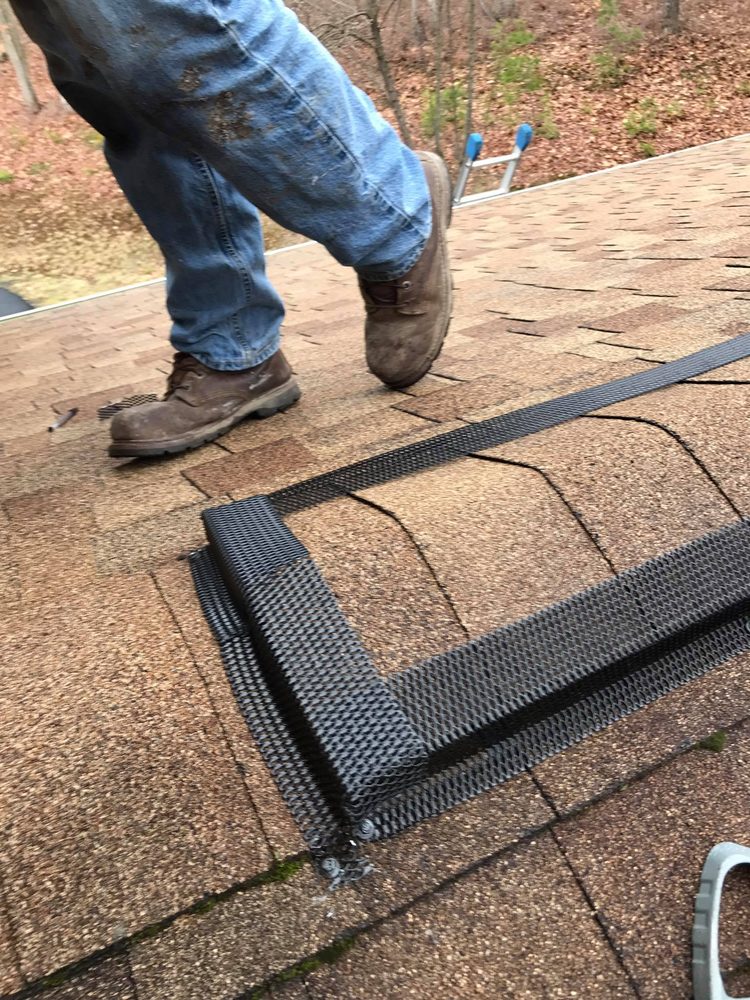 RAT CONTROL OF RALEIGH Updated July 2024 14 Photos Raleigh, North