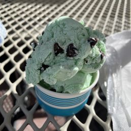 Mint chocolate chip ice cream