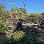 Photo of Sullenger's Property Cleanup