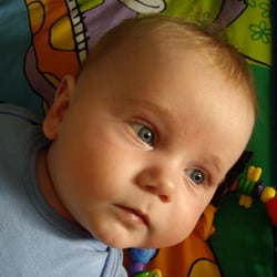 Boise Baby Gear - Travel Safe -- Travel Light!