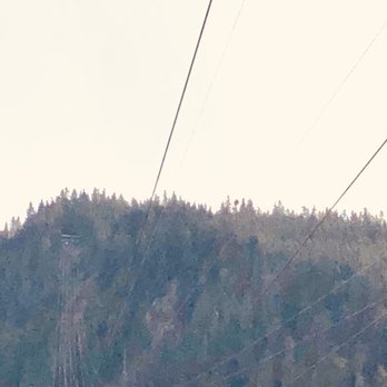 Icy Strait Point - 5000 foot long zip line 1300 feet up. It was an exhilarating 90 seconds riding back down at 65 mph. - Travel Services Near Me - Hoonah, Alaska