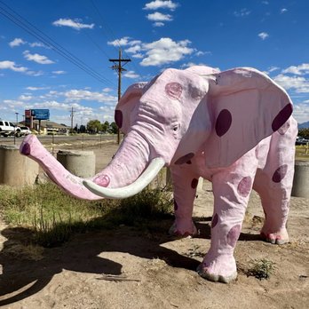 Elephant Ranch - Pink Elephant statue - Whiskey Bars Near Me - Las Cruces, New Mexico Elephant Ranch - Pink Elephant statue - Whiskey Bars Near Me - Las Cruces, New Mexico