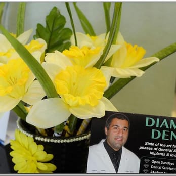 Diamond Dental - General Dentistry Near Me - Lutz, Florida Diamond Dental - General Dentistry Near Me - Lutz, Florida