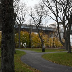 Francis Lewis Park