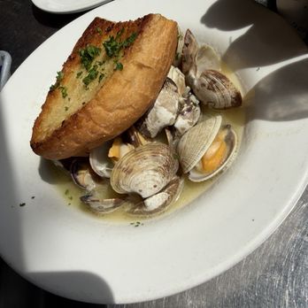 Harbour Oyster + Bar - Steamed Clams in Wine Sauce - Cocktail Bars Near Me - Vancouver, British Columbia