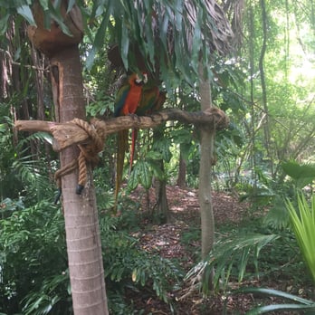 Jungle Island - Amusement Parks Near Me - Miami, Florida Jungle Island - Amusement Parks Near Me - Miami, Florida