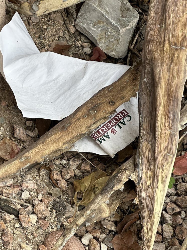 Cal Am Properties - property management company in Mesa, AZ