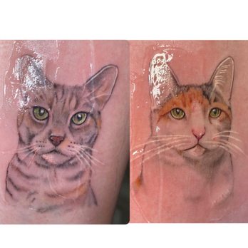 Queens of Needles - catt tattoo touch up by @melo_gia_tattoo - Tattoo Near Me - NORTHRIDGE, California Queens of Needles - catt tattoo touch up by @melo_gia_tattoo - Tattoo Near Me - NORTHRIDGE, California