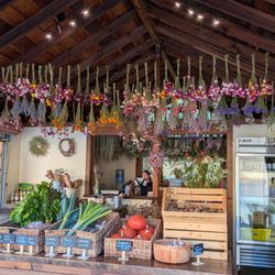 Velma’s Farm Stand - Filigreen Farm
