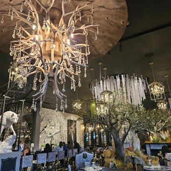 Wolf by Vanderpump at Caesars Republic Lake Tahoe - Beautiful designs - American Near Me - Stateline, Nevada