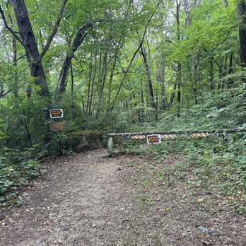 Malaphany Springs - The trail head - Hiking Near Me - Decorah, Iowa