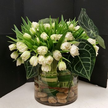 David Kurio Designs - Florists Near Me - Austin, Texas David Kurio Designs - Florists Near Me - Austin, Texas