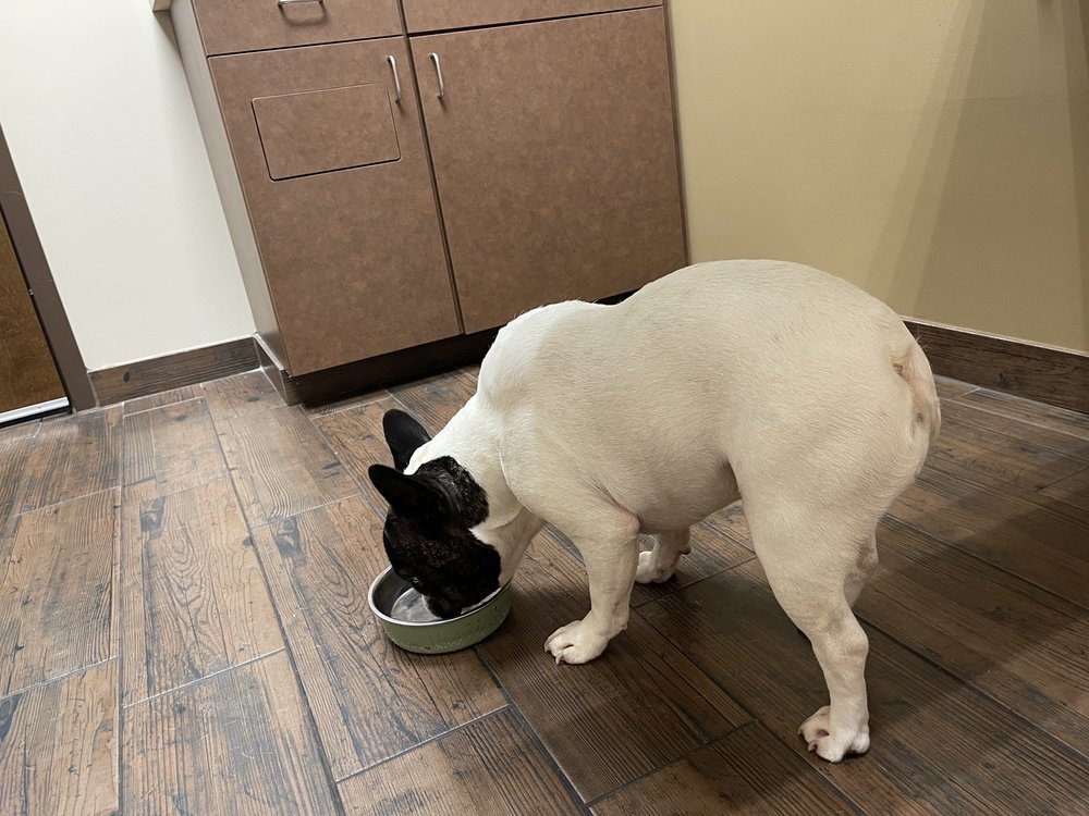 COUNTRY COMFORT BOARDING & GROOMING Updated October 2024 28 Photos