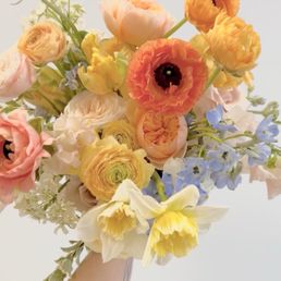 This color palette This color palette