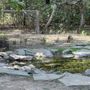 Photo of Quinta Mazatlan