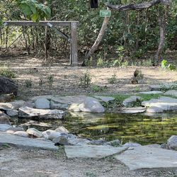 Quinta Mazatlan - Bird Cafe
