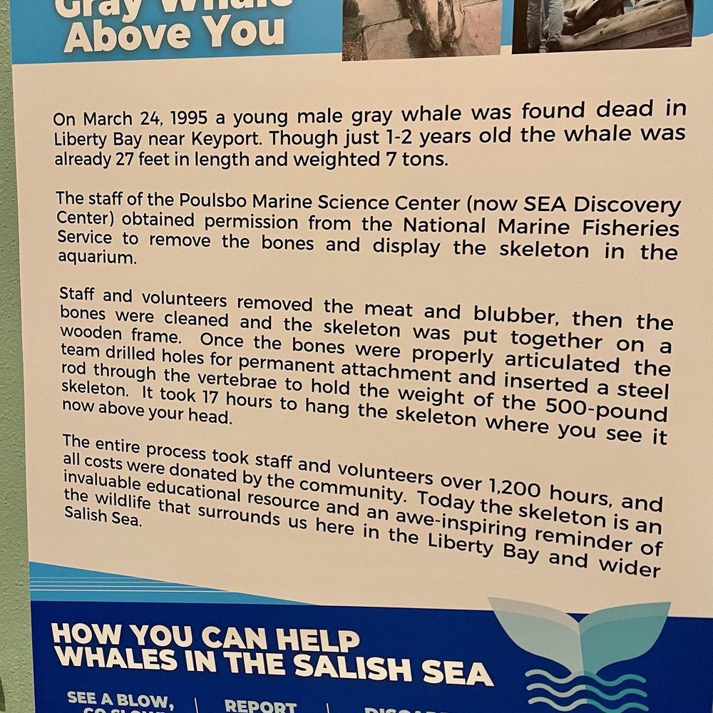 SEA Discovery Center - Aquariums Near Me - Poulsbo, Washington SEA Discovery Center - Aquariums Near Me - Poulsbo, Washington