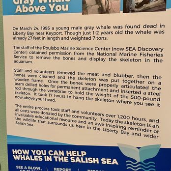 SEA Discovery Center - Aquariums Near Me - Poulsbo, Washington SEA Discovery Center - Aquariums Near Me - Poulsbo, Washington