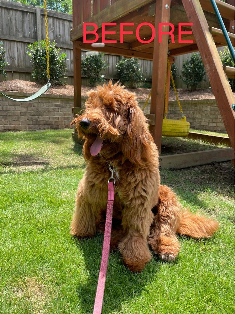 SARAH’S GROOM ROOM Updated September 2024 12 Photos & 20 Reviews