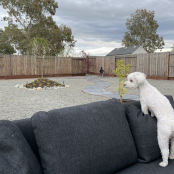 Living Elements Landscape - Masonry/Concrete Near Me - Sacramento, California