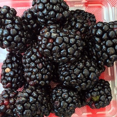 Ferguson Farmers Market by null