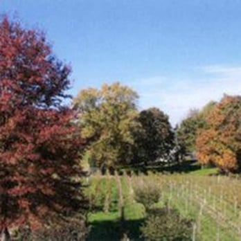 West Hanover Winery - Wineries Near Me - Harrisburg, Pennsylvania West Hanover Winery - Wineries Near Me - Harrisburg, Pennsylvania